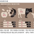 다원성 이미지