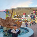 무진랜드&호텔 | 나고야 여행 후기 아이와 가 볼 만한 추천 코스 레고랜드 재팬