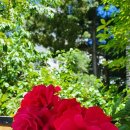 선소유적지 이미지