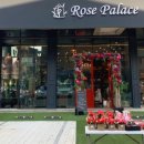 로즈 팰리스(Rose Palace)