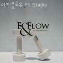이앤플로우