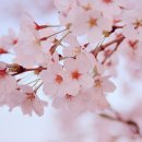 멘토영어학원 이미지