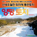 송도로공인중개사사무소 이미지