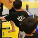 경희대태권도장 이미지