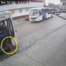 댕댕이버스 이미지