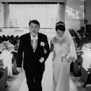 윤석열 카카오 검색결과