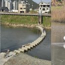 주촌서희스타힐스 이미지