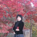 산마루풍경 이미지