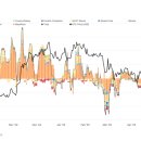 비트코인 ATH 경신과 105K 조정, 그 안의 맥락을 읽다 (6월 1주차 칼럼)