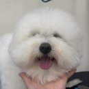반포대로9길 56 이미지