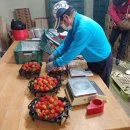 김상균 농장 이미지