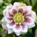 반포삼정공인중개사사무소 이미지