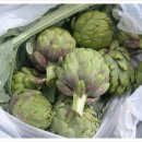 아티초크 호텔 이미지