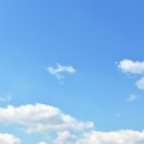 미래산업노동조합 | 11/26(수) 국회 주요 일정 완전 정리 📅