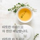 주행중 엑셀 무반응 현상으로 ECU 교환하신분 계신가요 이미지