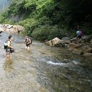 괴목민박 이미지