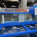 주문진작은다리투다리 | 주문진 수산시장 횟집 회포장 가격 팔팔횟집 방문기
