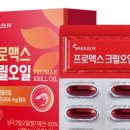 마음아크릴