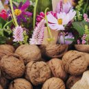 영주꾸러미공동체영농조합법인 | 10월 12일 (일) 마르쉐 농부시장@목동_13주년 [먹거리숲] 출점팀과 출점품목