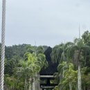 넥서스 | 말레이시아 코타키나발루 넥서스 리조트 솔직 장단점 모음