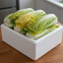 지연농장 | 강원도 절임배추 20kg 후기, 직접 농장 확인하고 선택한 진짜 고랭지 배추 (예약·특가세일 포함)