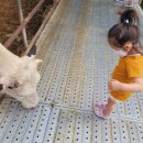 윤주목장 이미지