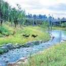 강남에 맞설 ‘강북 르네상스’ 첨병(성동) 이미지