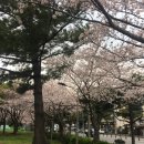 신산공원 이미지