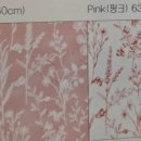 마리엔느(MARIENNE)