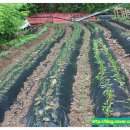 거운리마을회관 이미지