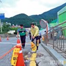 태백시장 이미지