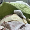 정답병원 앞 | 33주 조기양막파열 조산 건양대병원 자연분만(무통주사X)후기