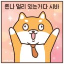 삼삼오식당 이미지