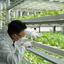 스마트팜 이미지