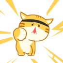 증산태권도장 이미지