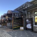 할리스(동해묵호점)