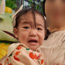 (주)모비아넷 | 오키나와 파인애플파크 36개월 이하 무료 아기랑 가기 좋은 곳 추천