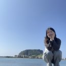 비올레띠 | [제주도] 뚜벅이로만 다녀봤는데, 짝꿍이 운전을 할줄 앎