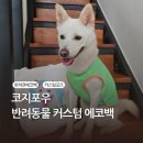 에코포우