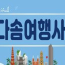 다솜여행사