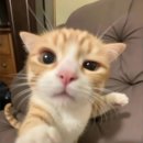 포곡로108번길 이미지