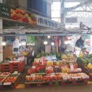 태양청과 이미지