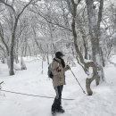 미남목장 이미지