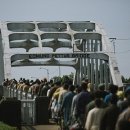 셀마