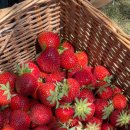 애프터짐 이미지