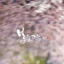 봄을담다 이미지