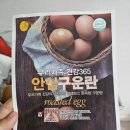 광주낙우영농조합법인 | 다이어트 그릭요거트 샐러드 8살 아이 아침 대용 찬란 안심 구운란 영양가득 반숙란 내돈내산 솔직후기