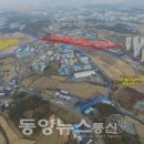 음봉면 아산밸리로 이미지