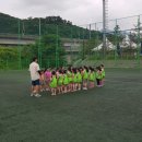호만골