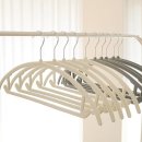 화이트래빗 이미지